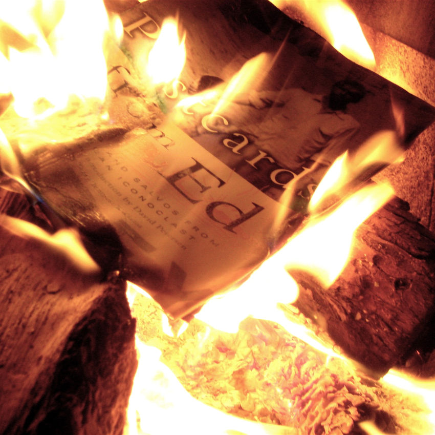 Le livre papier, dernier refuge de l&rsquo;insolence