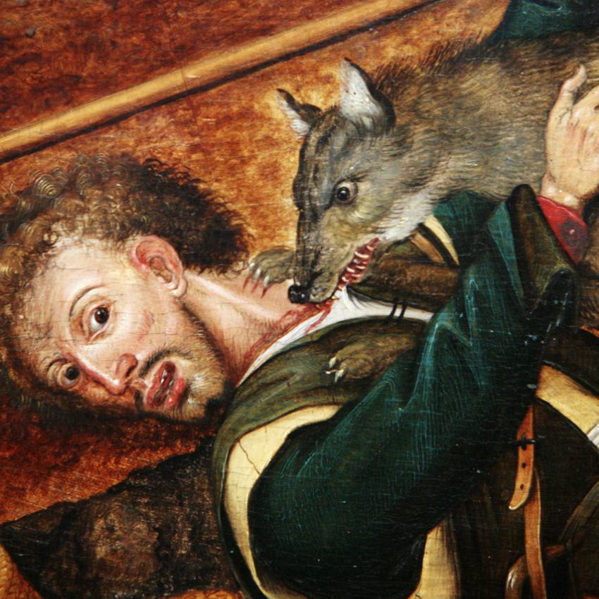 Le loup enragé des&nbsp;Morets